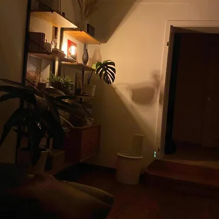 Apartament Altbauwohnung Mit Privater Laube - Blick Auf Dom & Altstadt Pasawa