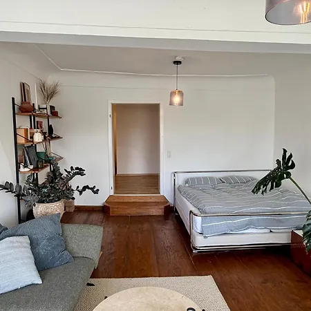 Altbauwohnung Mit Privater Laube - Blick Auf Dom & Altstadt Passau